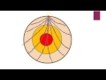 Earth's Internal Structure and Composition