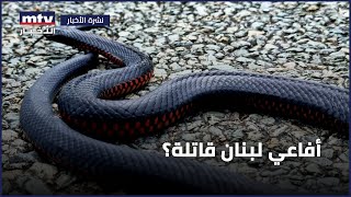 رئيس ديوان المحاسبة القاضي محمد بدران