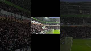 Noordtribune Groningen - FC Groningen vs AFC Ajax 07/03/2026 #fcgroningen #afcajax #eredivisie