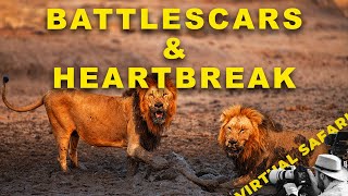 Gijima Male Injury | Leopard Heartbreak- Virtual Safari #288