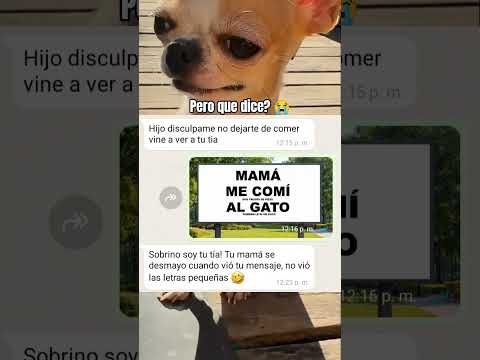 me reí mucho con esto 🤣 #shorts #memes #videoviral #humor