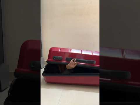 हमेशा बच्चों का ध्यान रखें??#shorts #viral #trending #family #love #thessfamily