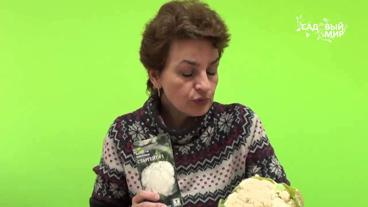 Когда сеять капусту на рассаду Часть 2