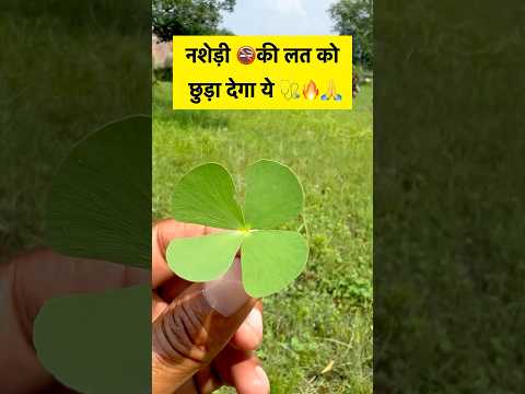 🔥💯#plant #facts #farming