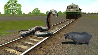 Anaconda vs train funny video