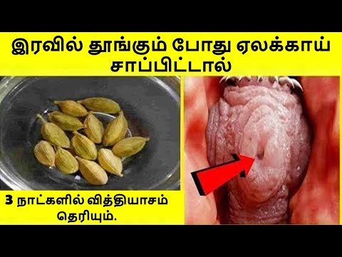 இரவில் தூங்கும் போது ஏலக்காய் சாப்பிட்டால் 3 நாட்களில் வித்தியாசம் தெரியும் cardamom benefits