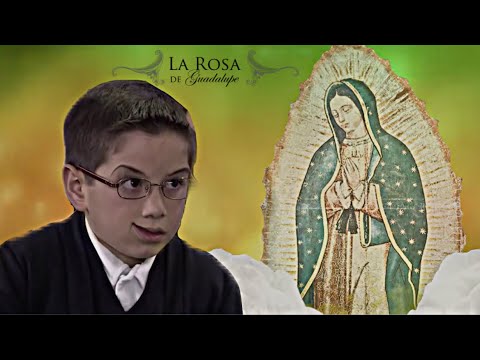 YO SI FUERA ROBERTITO
