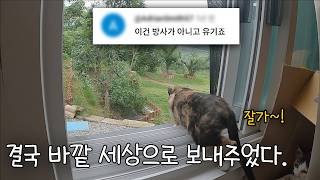 4년이 지난 지금, 그들은 잘 지내고 있을까..?