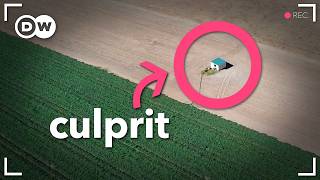 YouTube video thumbnail: How Greed is Turning Spain Into a Desert