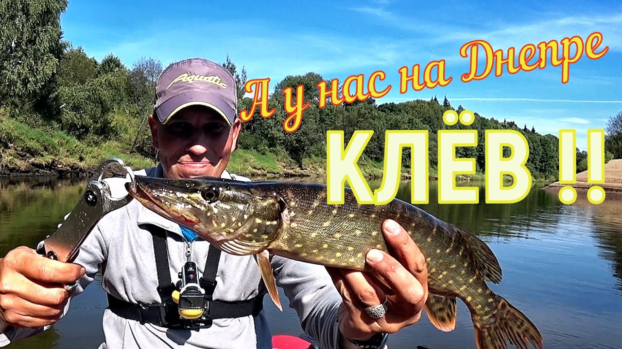 Клёвый день на Днепре. Клевала Щука, Судак, Окунь