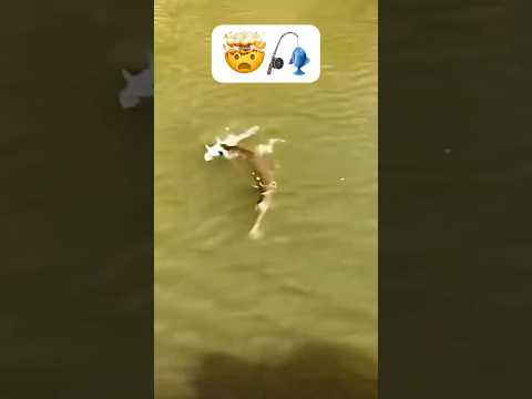 Whatt 😳🎣 Sub for more #fishing #fish #shorts #viral #boat #boats #wild #outdoors