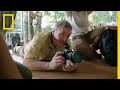 Wildlife Conservation and Photo Ark Insights