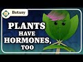 Plant Biology Concepts and Functions