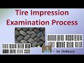 Tire Impressions and Forensic Analysis