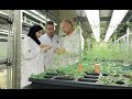 Microbial Enhancement of Plant Growth in Desert Conditions