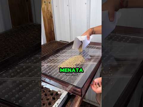 Rahasia Pertanian Modern yang Lebih Efisien