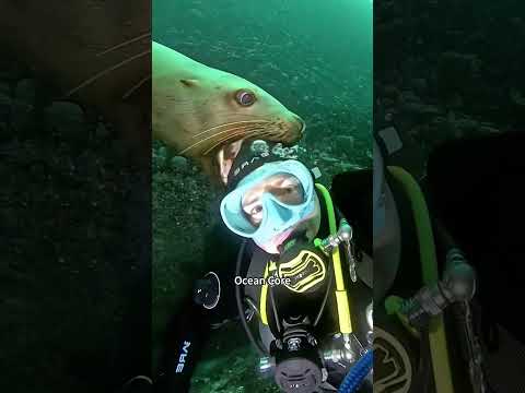 Interesting ocean#foryou #fyp #funny #pet #pov