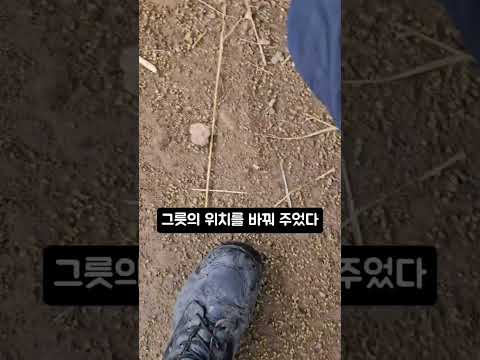 산속의 외로운 강아지에게 간식주고 썩은 물 교체해주기 2탄(개들도 고마움을 알아요)