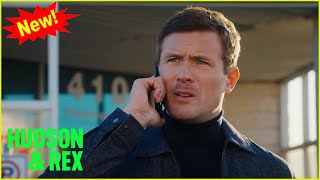 Hudson & Rex New 2024 | Rexit, Stage Left | Hudson & Rex New Episodes 2024 Full HD