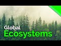 Biomes and Ecosystems Overview
