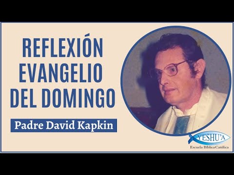 Reflexión del Evangelio del Domingo- La Santísima Trinidad-  Padre David Kapkin