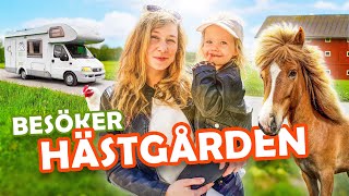 TAR HUSBILEN TILL HÄSTGÅRDEN