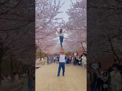 [치어리딩커플] 벚꽃사진에 스턴트치어리딩은 빠질 수 없지🌸
