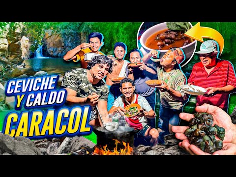 🐚PESCANDO CARACOLES DE RIO | caldo y ceviche exótico 🐌