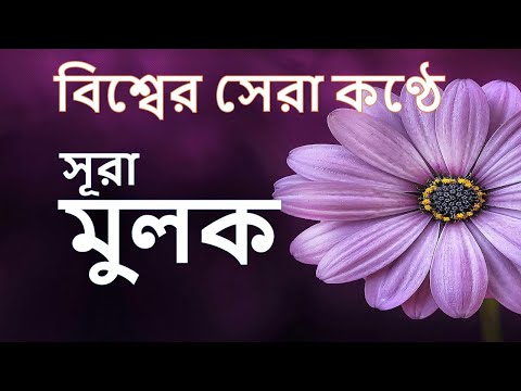 সেরা কণ্ঠে সূরা মুলক আত্মাকে প্রশান্ত করুন | Surah Al Mulk | Sura Mulk