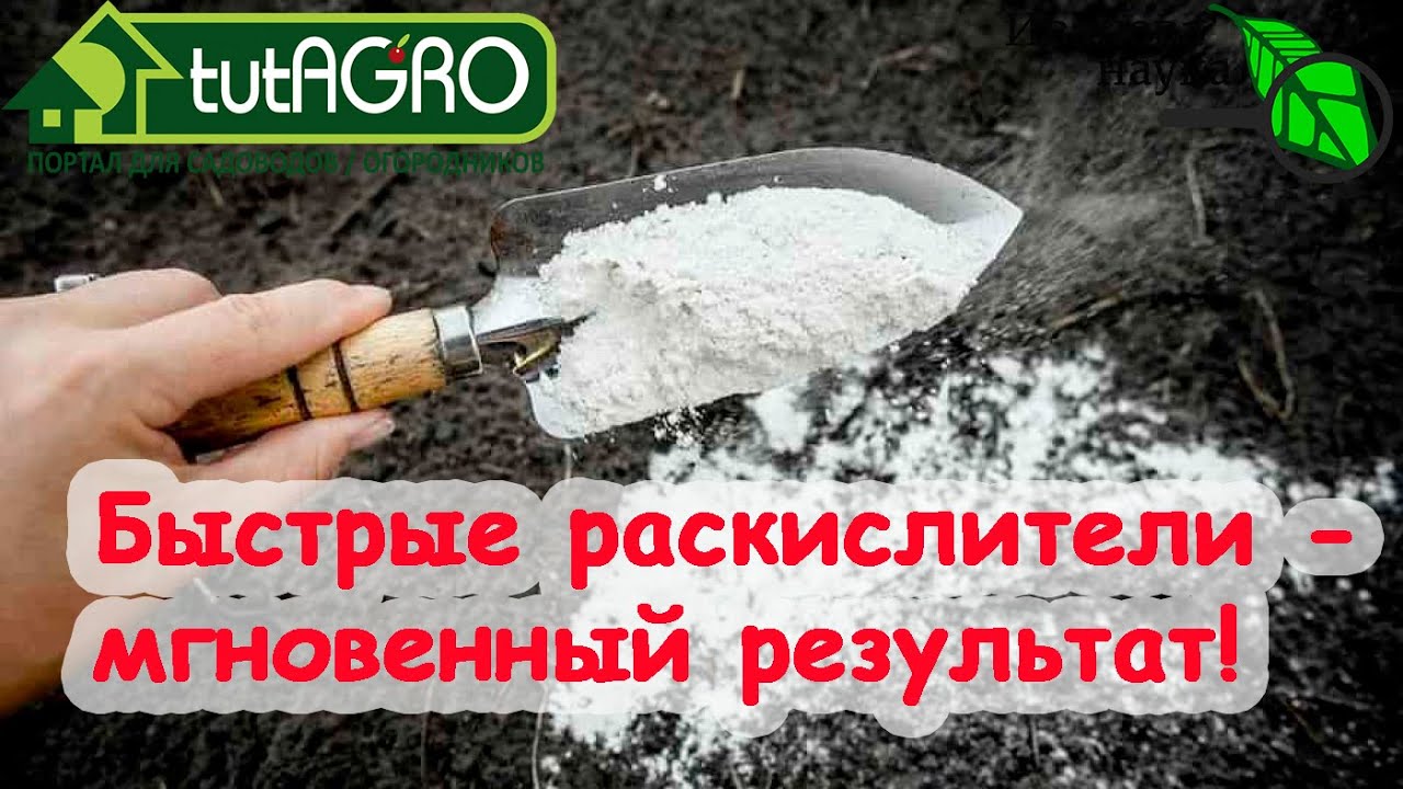 Как раскислить почву быстро? 3 полезных и 2 очень вредных непростительных совета в одном видео!