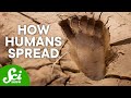 Human Migration and Ancient Footprints