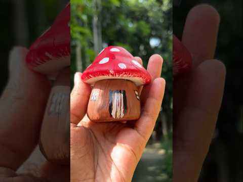 খালি রঙের বোতল দিয়ে মাশরুম container 😱😱