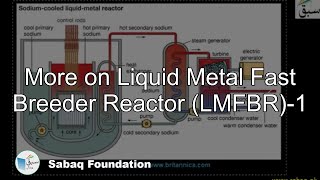 More on Liquid Metal Fast Breeder Reactor (LMFBR)-1