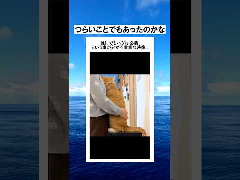 お願いだから、元気を出して