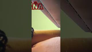 Stáňa se schovala před Tarym 🤭