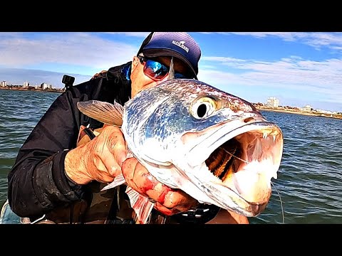 IMPRESIONANTE PESCA AL ENCONTRAR UN CARDUMEN EN EL LUGAR INDICADO