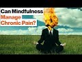 Meditation and Its Effects