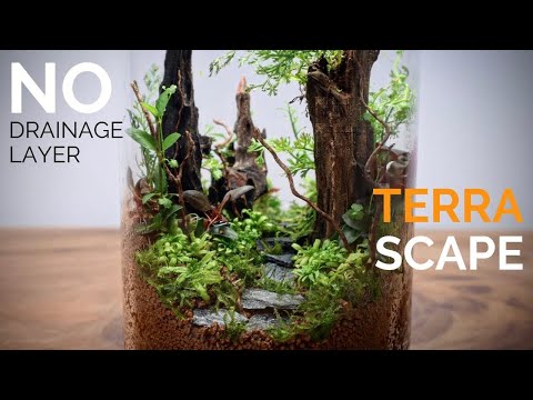 Terrarium Without a Drainage Layer