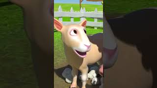 Pak Tua Punya Peternakan! Main bareng JJ! 🐮 #cocomelon #laguanak