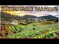 Sustainable Farming Practices and Concepts