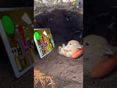 Bunny Watching incredibox Sprunki x RAT DANCE
