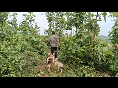 കണ്ടിട്ടും കാണാതെ പോകുന്ന കാഴ്ചകൾ പക്ഷെ എനിക്ക് കൈവിടാൻ ആവില്ലലോ