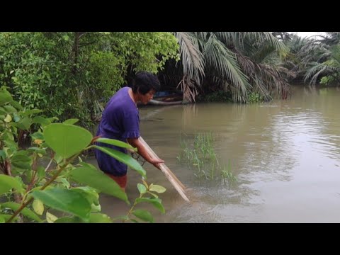 ngetemnya disini! jala dan ludang jebakan hasinya mantap jawa