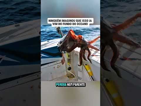 veja o que veio do fundo..#curiosidades #educação #shorts #pesca #foryourpage