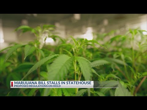 YouTube video thumbnail: Bill to Make Changes to Ohio's Recreational Marijuana Laws Stalls Again