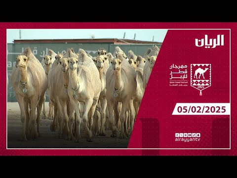 مهرجان قطر للإبل - جزيلات العطا - 05-02-2025