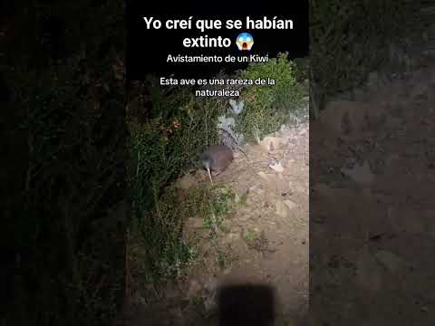 ☠️ AÚN NO ESTÁ EXTINTO ☠️ #animales