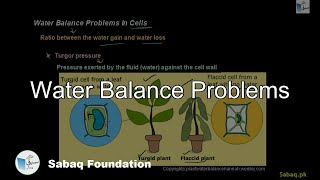 Water Balance Problems