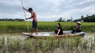 1707 / Cắm câu cá lóc bằng mồi nhái
