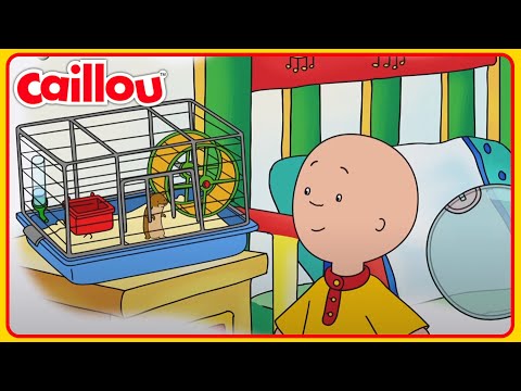 Klasse Huisdier | Caillou Nederlands - WildBrain